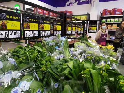 菜籃子里憶崢嶸 中山食出用蔬菜零售講述企業(yè)成長(zhǎng)故事